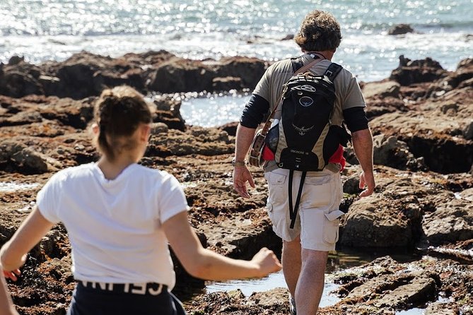Howth Safari Hiking Tour - Price and value: what $71.38 includes, and what it does not