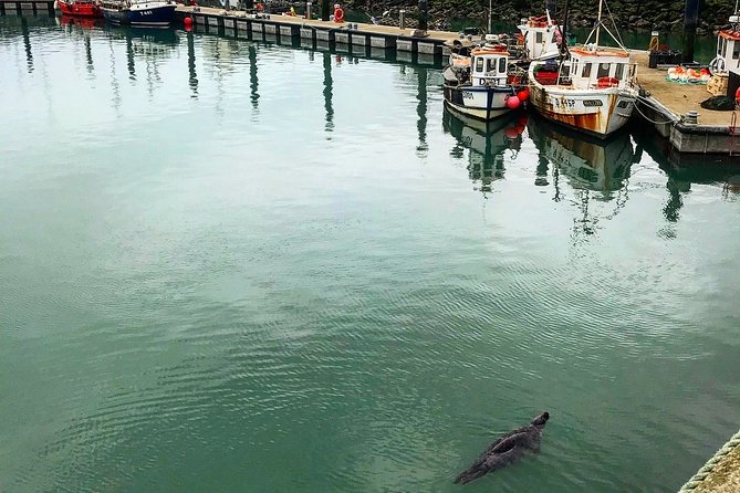 Howth y Malahide in italiano - Howth fishing village and the castle: local flavor with sea views
