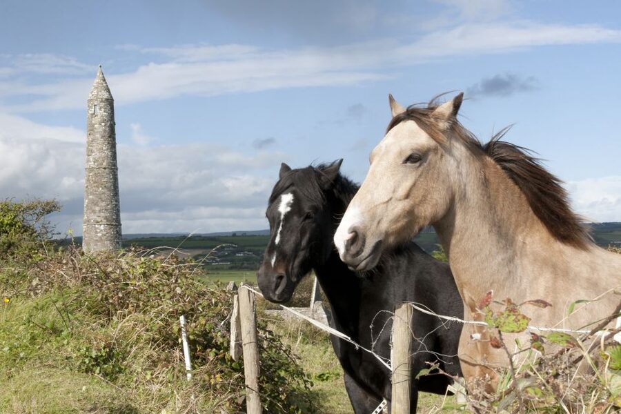 Ireland: Blarney Castle, Kilkenny & Irish Whiskey 3-Day Tour - Where you sleep: B&B style, en suite rooms, and dinner timing