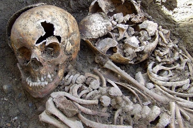 Irish Famine Museum / Exhibition Dublin - Entering the experience: what your visit is really like