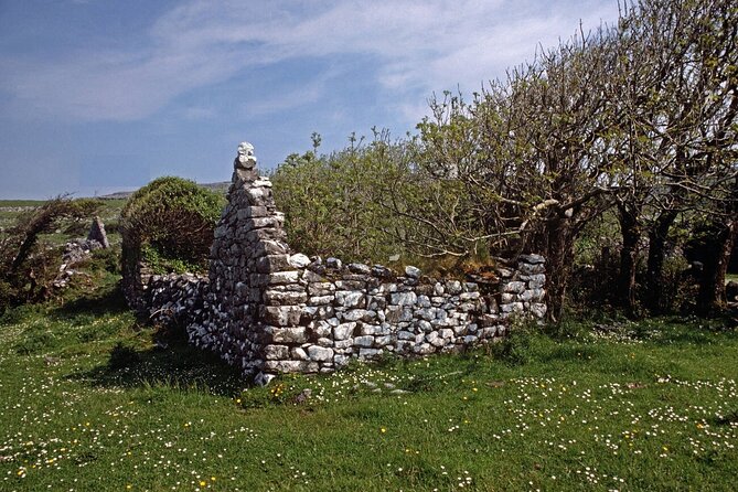 Irish Famine Museum / Exhibition Dublin - Timing your visit: opening hours and comfort tips