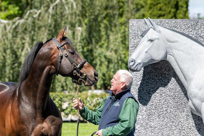 Irish National Stud & Gardens Skip the line Entrance - How long this takes and how to plan your timing