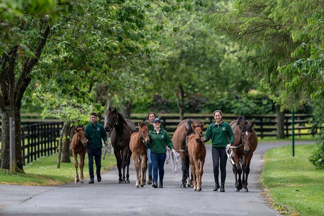 Irish National Stud & Gardens Skip the line Entrance - FAQ