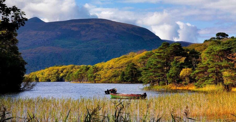 Kerry: Full-Day Tour from Dublin - Starting Point in Dublin and What That Means for Your Day