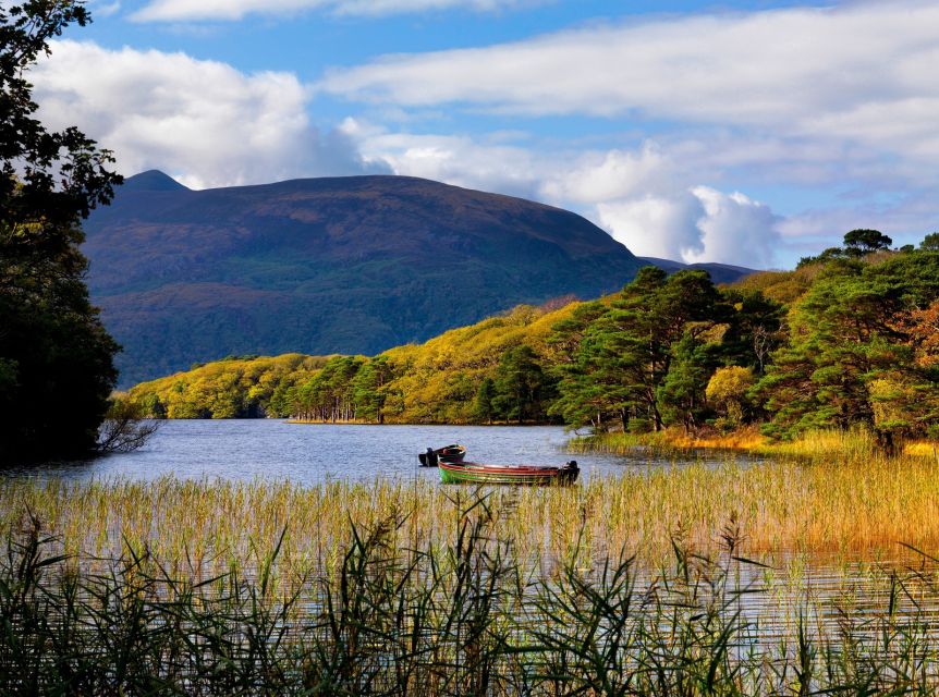 Kerry: Full-Day Tour from Dublin - Dingle Bay and the Wild Atlantic Coast: Panoramas on Repeat