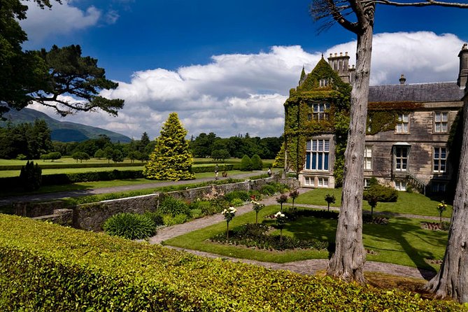 Kerry Highlights Day Tour from Dublin - Killarney town break: lunch, shops, and the gateway feeling