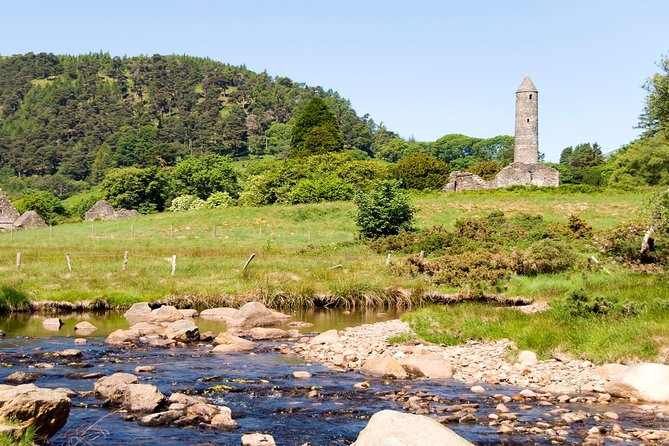 Kilkenny, Wicklow Mountains & Glendalough Day Tour from Dublin - The Wicklow Sheep Farm: Where the Fun Is Actually Hands-On