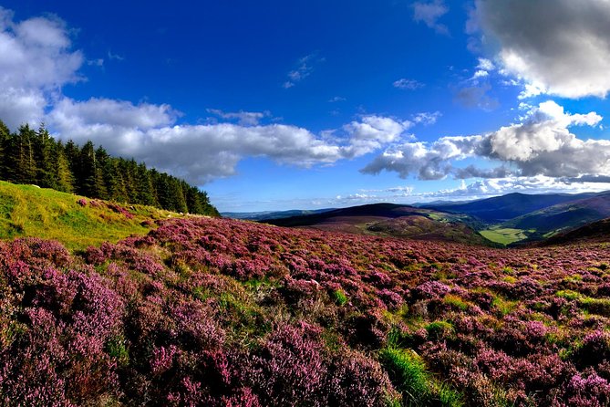 Kilkenny, Wicklow Mountains & Glendalough Day Tour from Dublin - The Order Changes on Sundays and in Winter