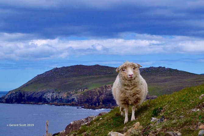 Luxury 'Luck of the Irish' Tour - 4 Day Tour - Private Ireland, 4 Days, and Why the Dublin Southwest Route Works
