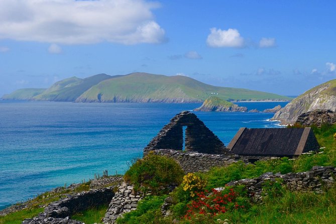 Luxury 'Luck of the Irish' Tour - 4 Day Tour - Your Executive Van, Insured Driver, and the Small Details That Matter