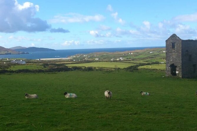 Private 7 Day Custom Luxury Car MPV Tour Of The South & South West Ireland - Day 3: Galway Bay viewpoints, Cliffs of Moher, then Killarney