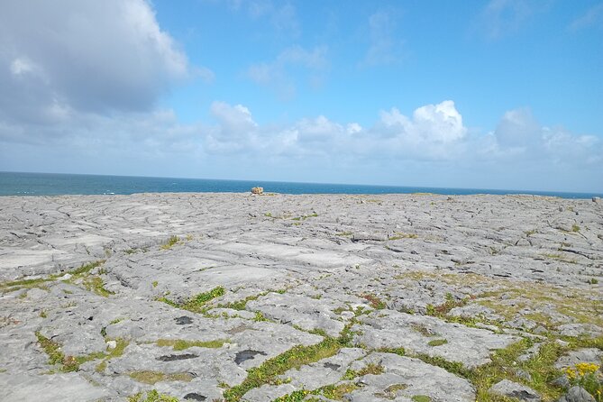 Private Day Tour Cliffs of Moher from Dublin - Should you book the Private Cliffs of Moher and Wild Atlantic Way Day Tour?