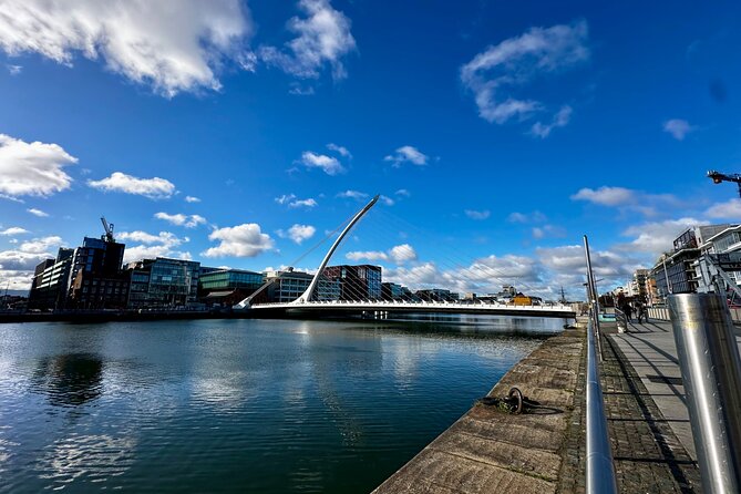Private Dublin City tour - Getting around in style, with time saved