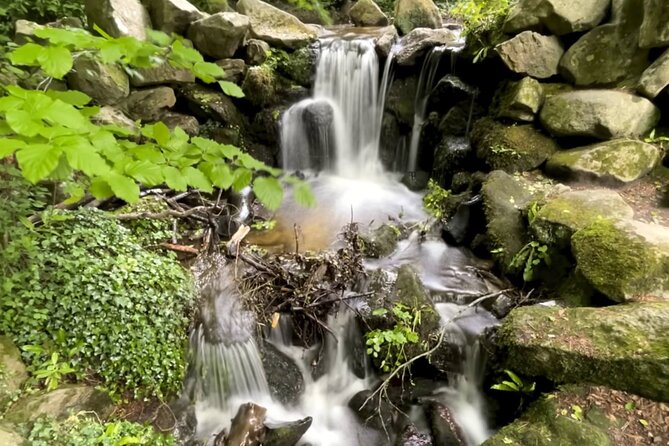 Private Garden of Ireland Wicklow Tour from Dublin - Key highlights at a glance