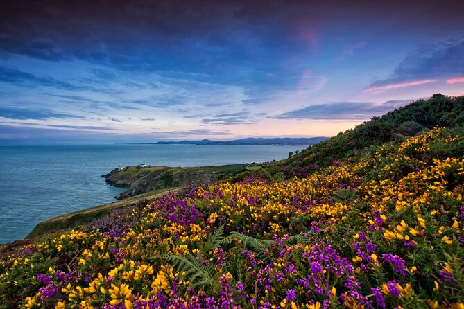 Private Howth Coastal Walk - Abbey Tavern break plus Howth Market time for snacks and shopping