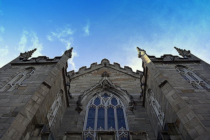 Private (Nearly!) All of Dublin in 5 hours (Walking Tour) - Dublin Castle Grounds and Christ Church Cathedral Exteriors