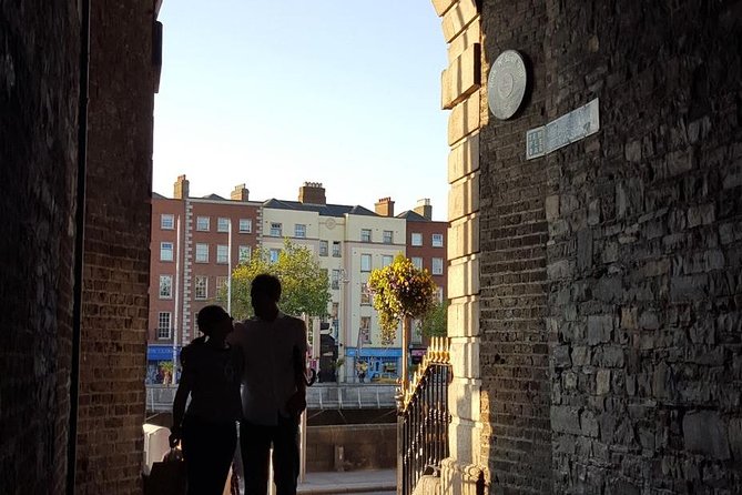 Private (Nearly!) All of Dublin in 5 hours (Walking Tour) - Leinster House, OConnell Monument, and the Independence-Era Energy