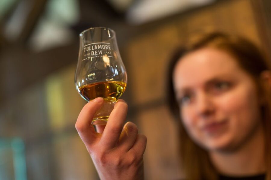 Private rural Ireland whiskey tour with Tullamore D.E.W. - Timing, comfort, and a realistic sense of the day