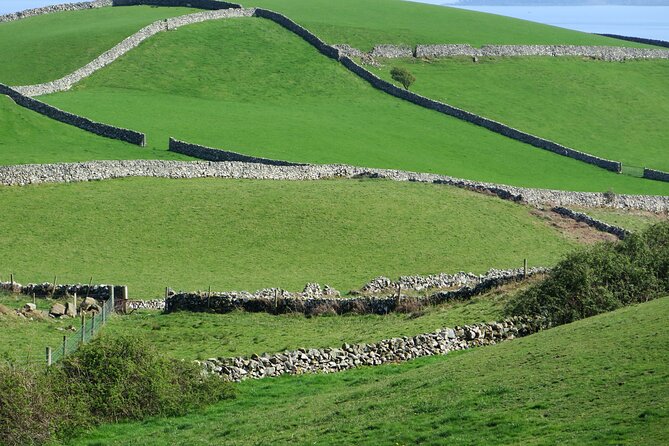 Private Tour of Newgrange and The Hill of Tara - Four Knocks: The Optional Stop That Can Save Your Newgrange Day