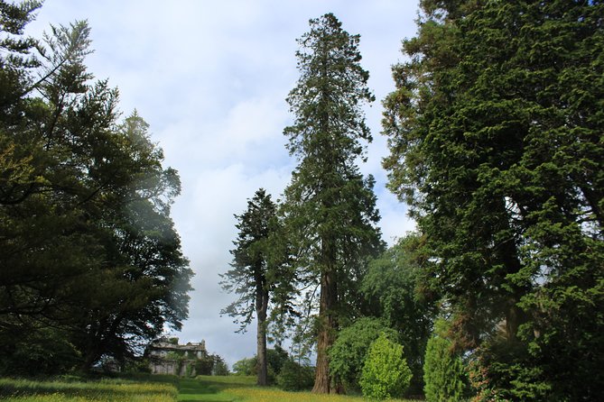 Private Wicklow Mountains Day Tour - National Botanic Gardens, Kilmacurragh: a calmer end to the day