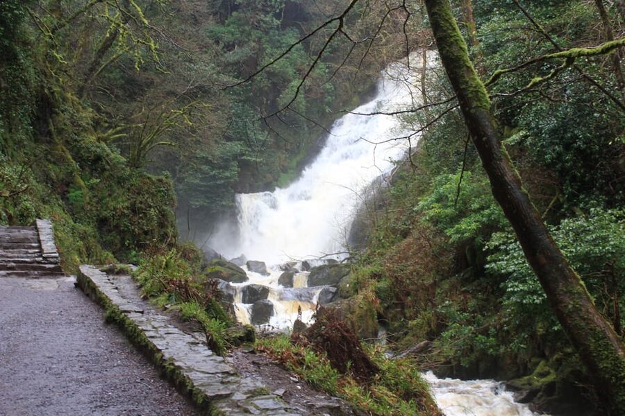 Private Wild Atlantic Day Tour from Cork - Killarney National Park Option for More Walking and Variety