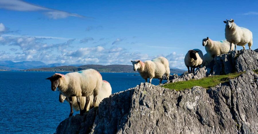 Private Wild Atlantic Day Tour from Cork - Meet Your Guide and Make the Route Fit Your Pace