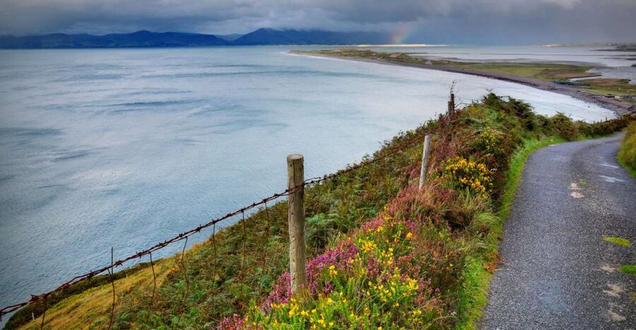 Rail Tour from Dublin: The Ring of Kerry - The Dublin-to-Killarney train sets your day up right