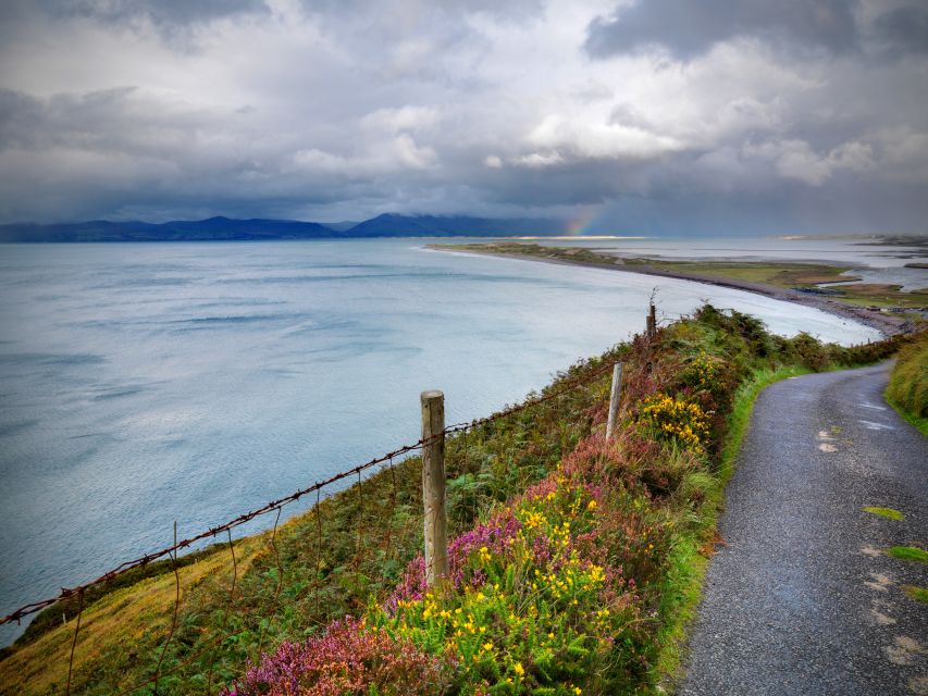 Rail Tour from Dublin: The Ring of Kerry - Killarney to Dingle Bay: the Ring of Kerry goes big fast
