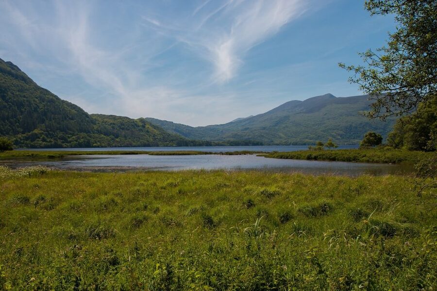 Rail Tour from Dublin: The Ring of Kerry - Macgillycuddy Reeks, Moll’s Gap, and Ladies View: photo stops that feel like landmarks