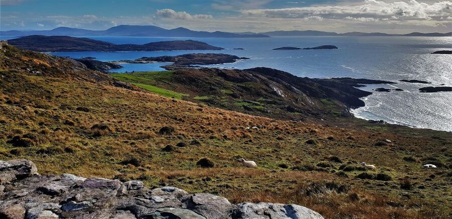 Rail Tour from Dublin: The Ring of Kerry - Price and value: what $158 buys you (and what it does not)