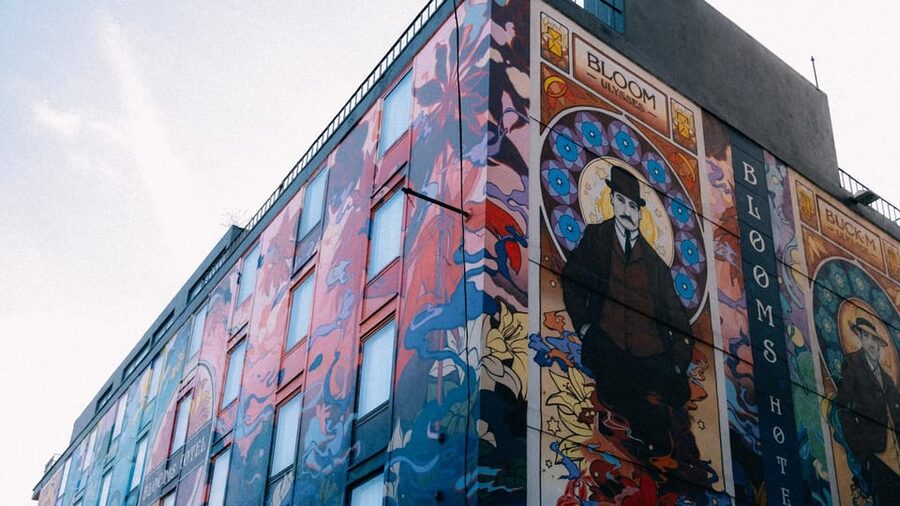 Secret and unusual Dublin: guided walking tour - Key highlights you’ll feel right away