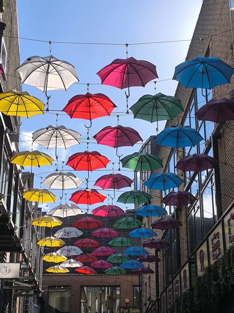 Secret and unusual Dublin: guided walking tour - Temple Bar, with street art and culture that actually tells a story