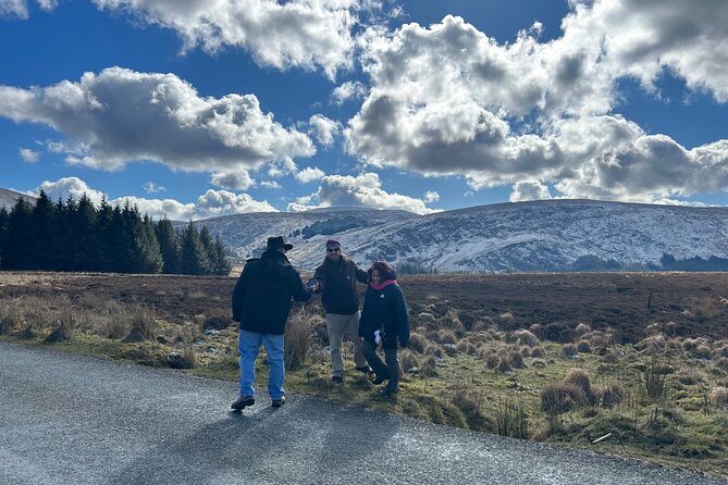 Sheepdogs in the countryside, authentic Dubliners city tour combo - Why This Private Dublin and Wicklow Combo Makes Sense