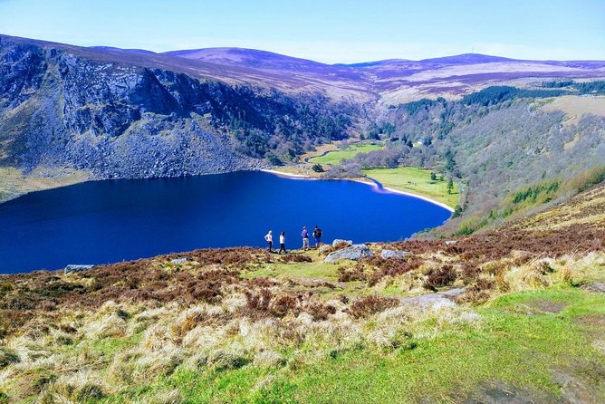 Shore Excursion from Dublin: Including Dublin highlights and Glendalough - Timing, Tender Stress, and How to Not Miss the Bus