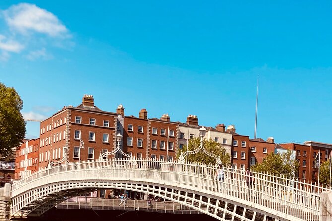 Small Group-Dublin Walking Tours - Leinster House, Kildare Street, and the National Museum pass-by moment