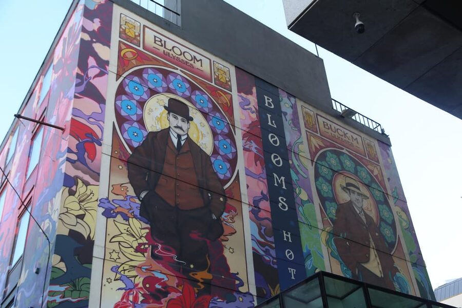 Street Art Walking Tour - Temple Bar and Blooms Hotel: art in the busiest tourist zones