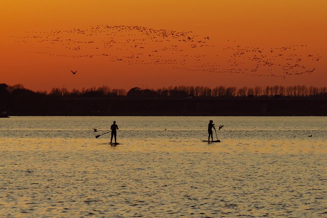 Sunset SUP experience in Malahide, Dublin - Key Highlights You’ll Actually Care About