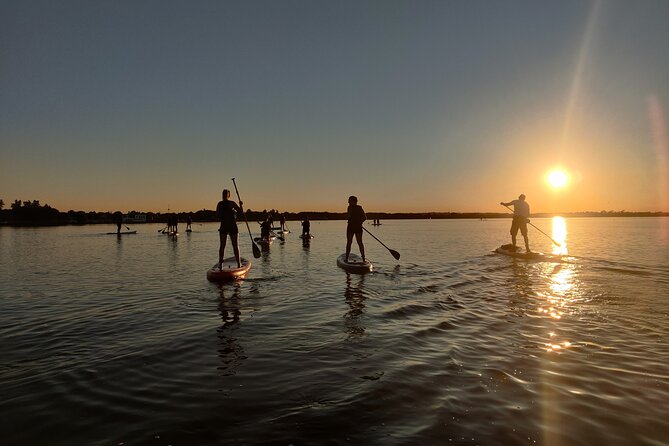 Sunset SUP experience in Malahide, Dublin - The 90-Minute Flow: From Briefing to Sunset Paddling