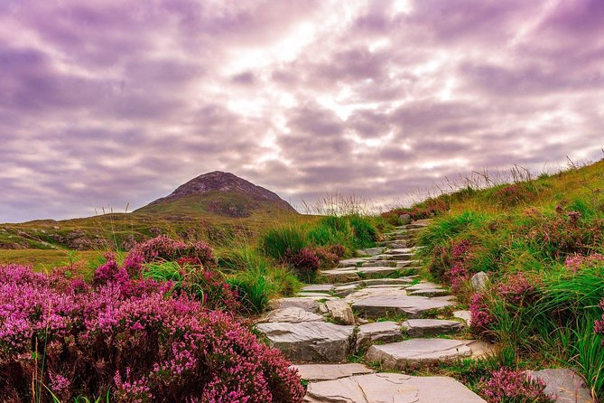 Sustainable Connemara and Galway Bay Rail Tour from Dublin - The Return to Dublin and What Makes the Late Evening Work