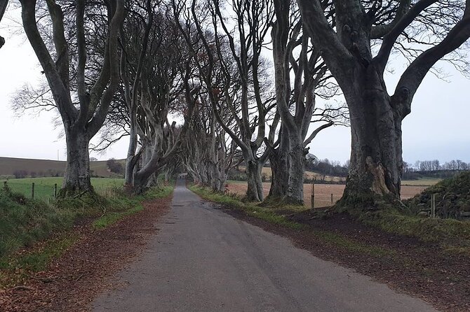 The Giant's Causeway, Dunluce Castel and Belfast - Spanish guide - Who this tour suits best