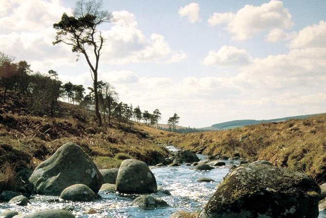 The Original Award Winning Wild Wicklow Tour incl. Glendalough - Lynhams of Laragh pub lunch: convenient, but plan for your own wallet