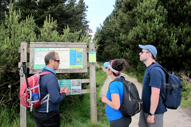 Trek the Tombs and Trails in the Dublin Mountains - Ridge Walk to the Stone Circle and Mountain-Top Burial Place