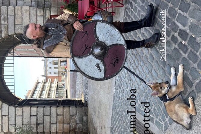 Walking Tour of Dublin’s Viking/Medieval Quarter with a Viking - Who this Viking quarter tour is best for