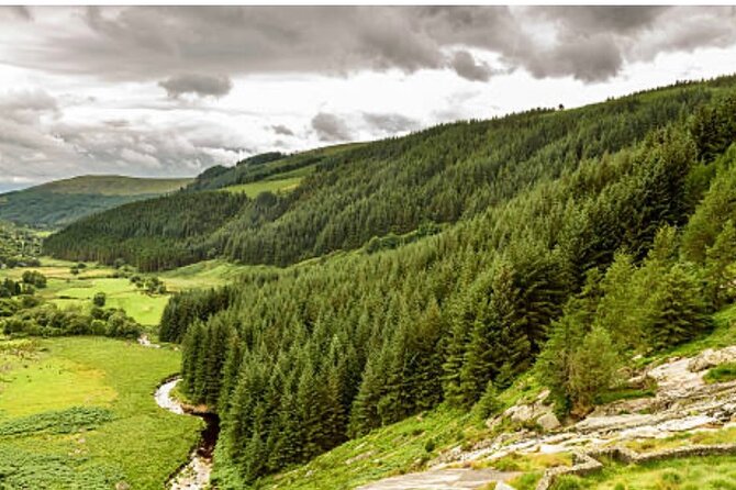 Wicklow and Glendalough Private Chauffeured Sightseeing Tour - Who this tour fits best, and who might want something else