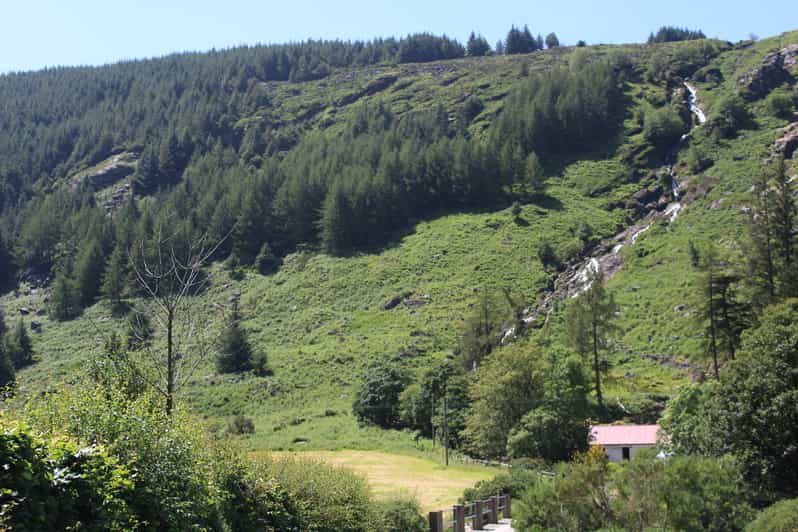 Wicklow Mountains Private Day Tour including Glendalough - A Guided Hike in Glendalough: Lower Lake to Upper Lake