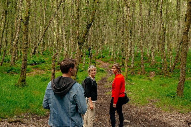 Wicklow Mountains Private Day Trip from Dublin - Stop 1: Wicklow Mountains National Park for 5 Hours
