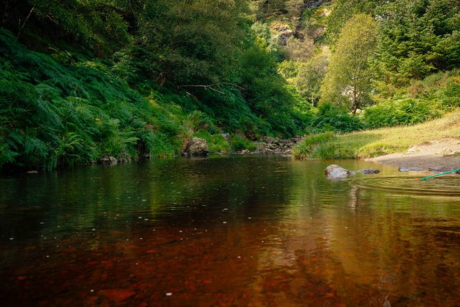 Wicklow Mountains Private Day Trip from Dublin - Price and What Can Cost Extra on a Day Like This