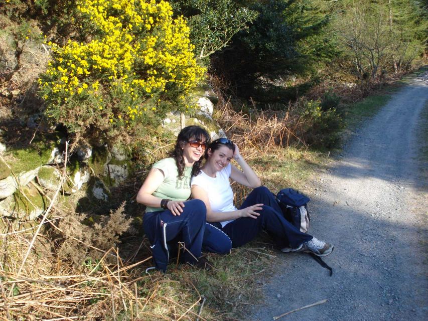 Wicklow: Private Day Tour from Dublin - Key Things You’ll Really Remember
