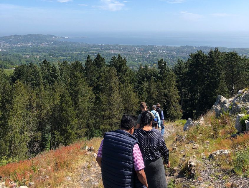 Wicklow: Private Day Tour from Dublin - Glendalough Valley Walk: St Kevin’s Monastic Site and the Two Lakes