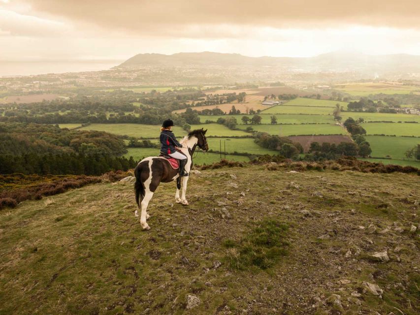 Wicklow: Private Day Tour from Dublin - How the Private Format Makes This Day Easier (and Better)